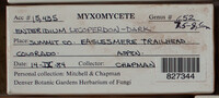 Image Associated With the Occurence
